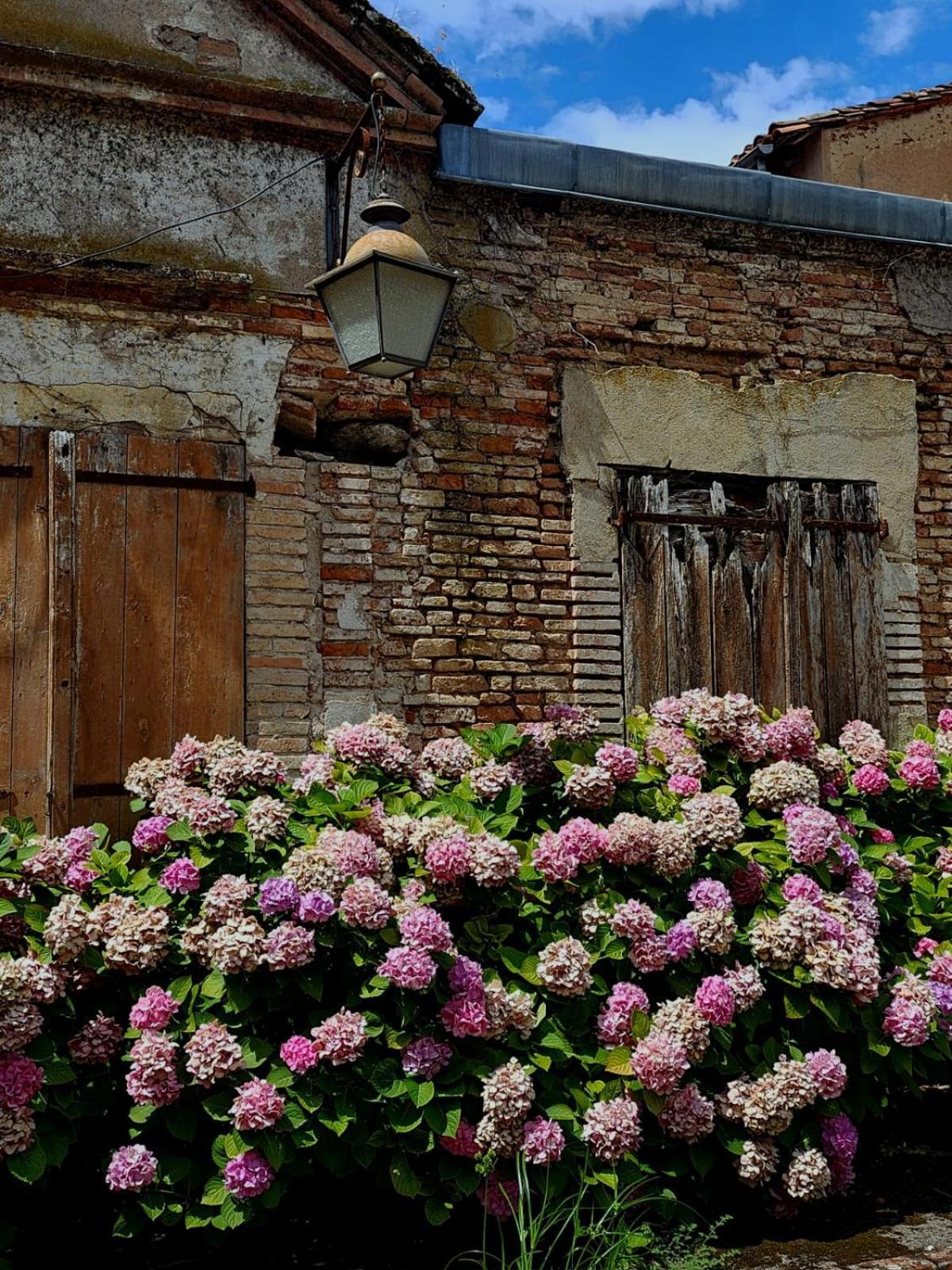 La Cour Verte Gaillac Bagian luar foto